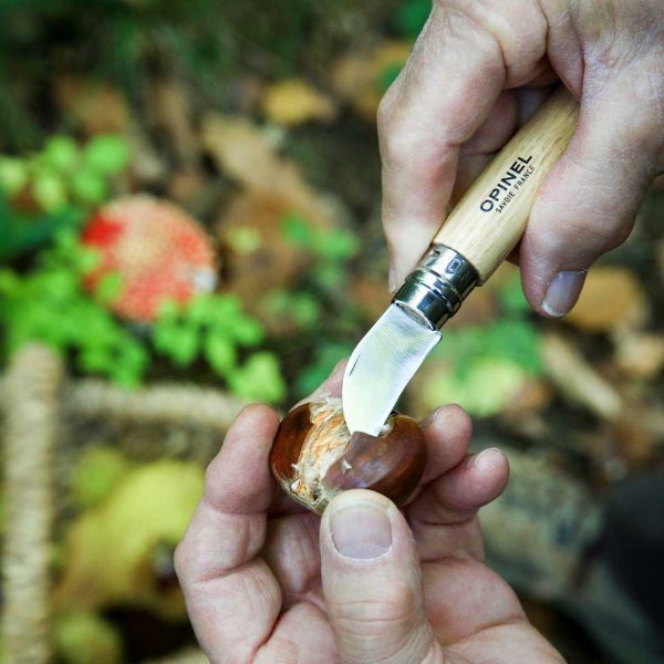 Opinel N°07 Châtaigne ail et dénoyautage – Image 2