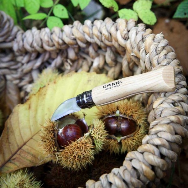 Opinel N°07 Châtaigne ail et dénoyautage – Image 4