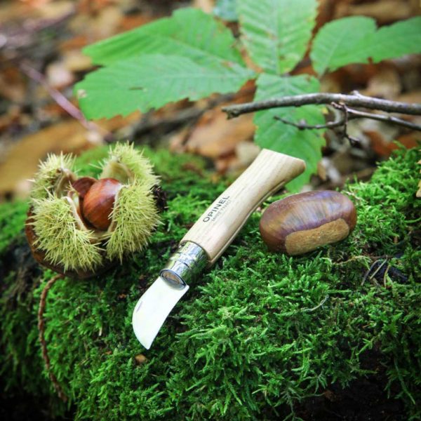 Opinel N°07 Châtaigne ail et dénoyautage – Image 3