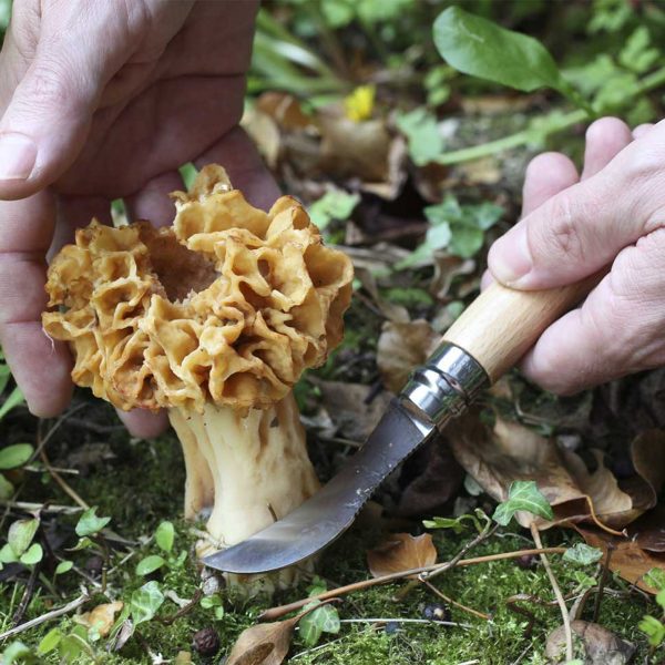 Opinel N°08 Champignon – Image 2